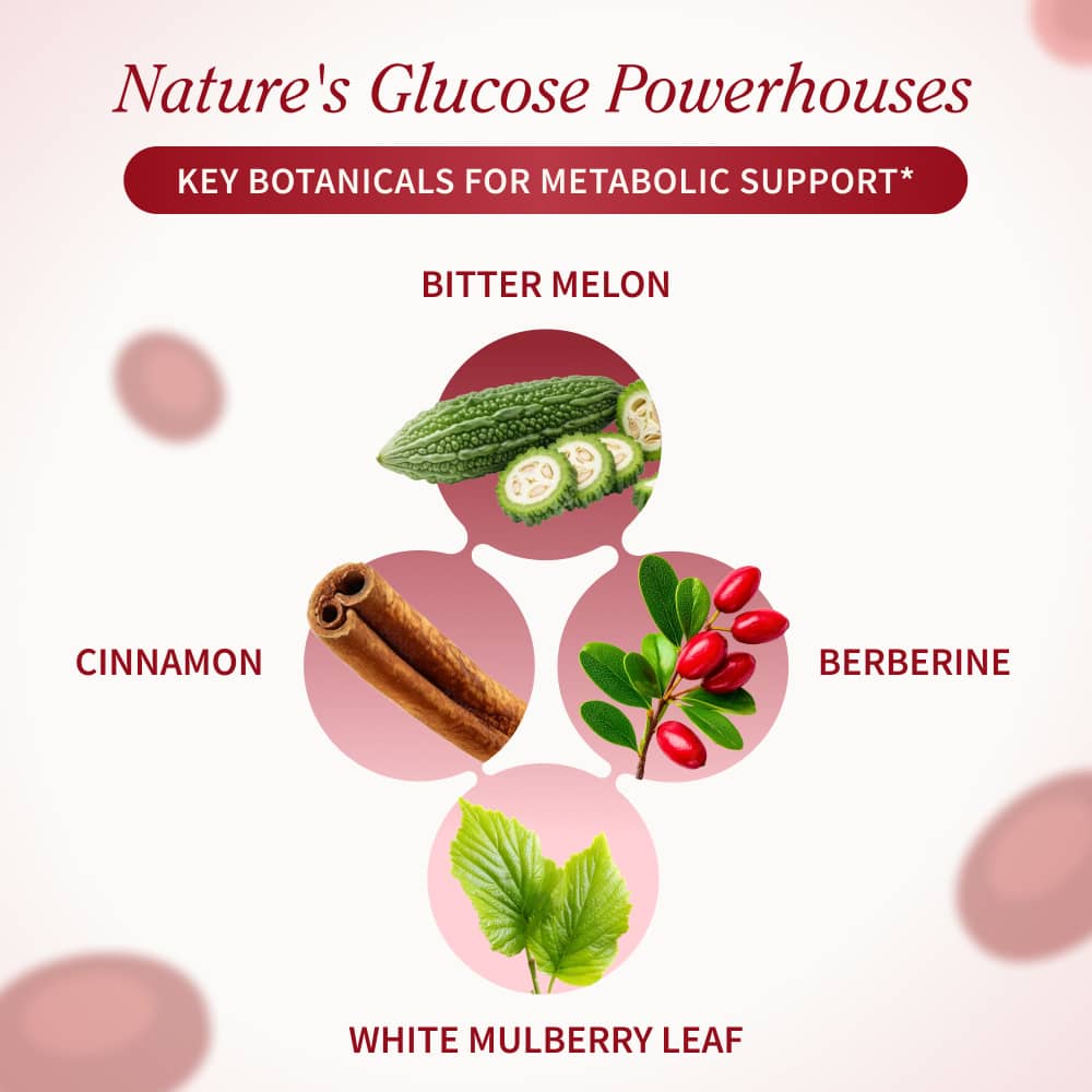 Blood Sugar by Snap Supplements
