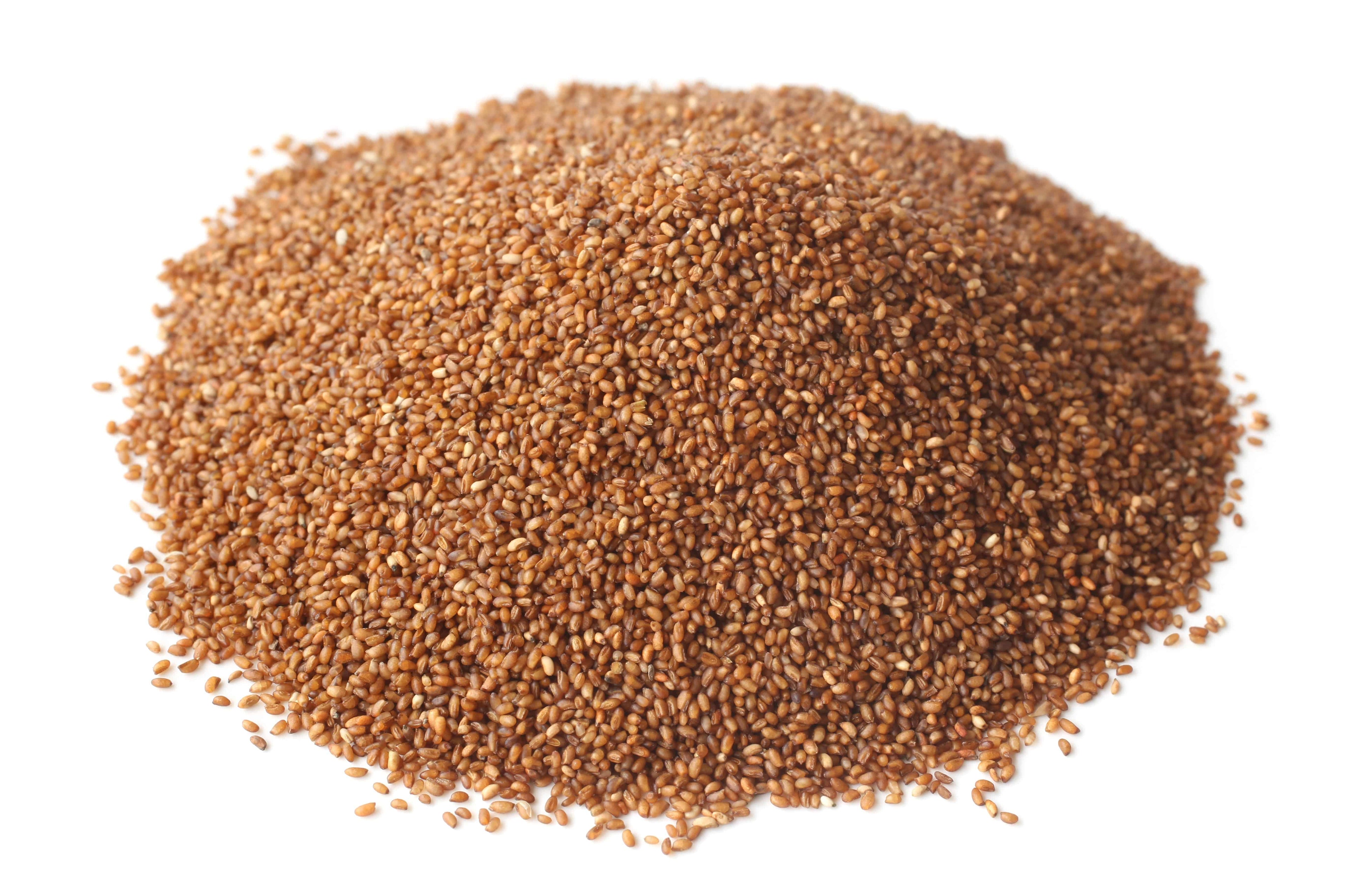 Teff Grain, Gluten-Free, Bob&