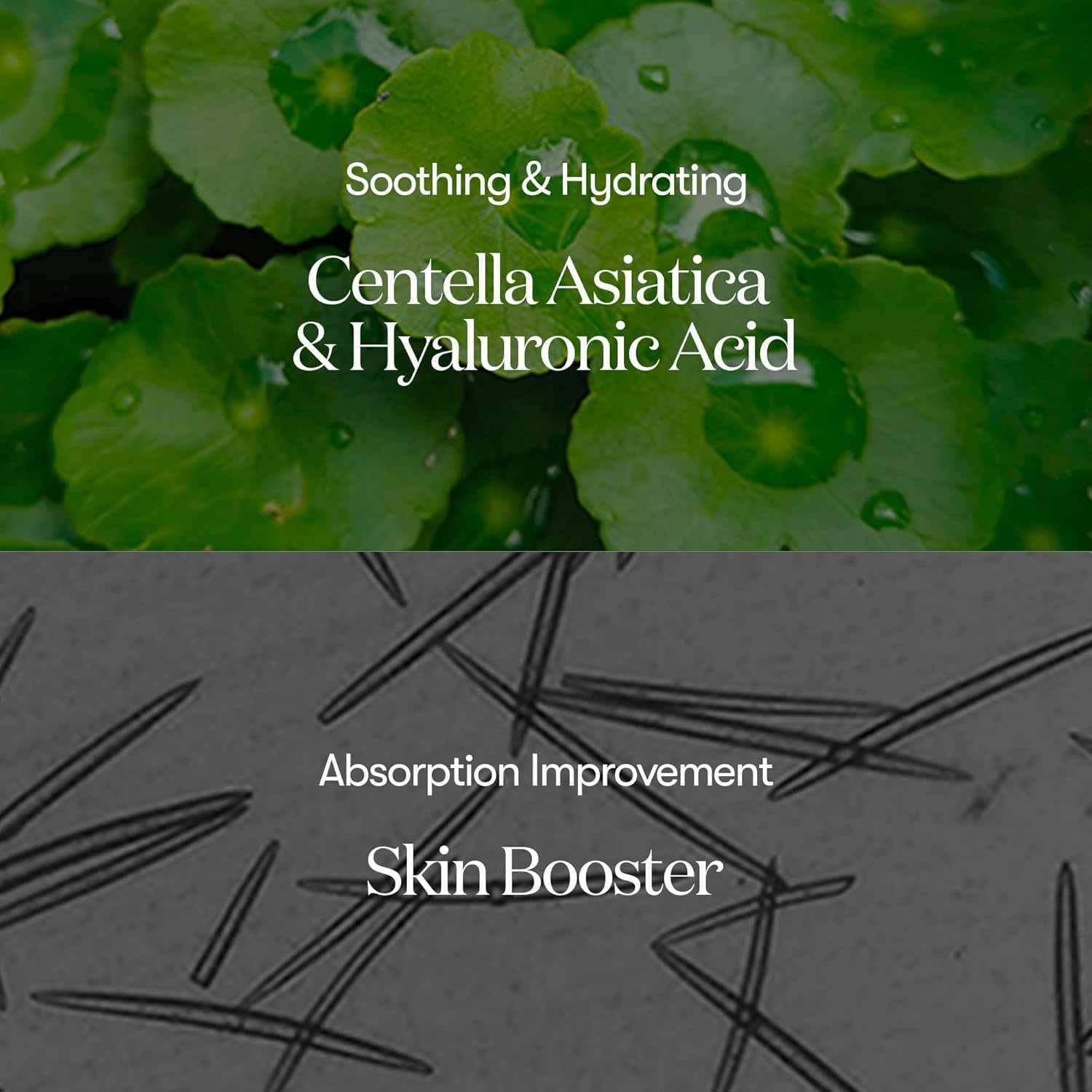 CICA Reedle Shot 100, Spicule Microneedling Serum for Pore Care &amp; Exfoliation, Exosome, Centella Asiatica for Glass Skin, Skin Texture, Korean Liquid Skin Booster (1.69 Fl Oz / 50Ml)