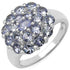 1.83 Carat Genuine Tanzanite .925 Sterling Silver Ring by Bids.com