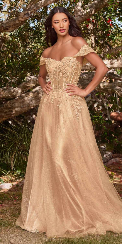 Cinderella Divine CD0198 Long Lace A-Line Gown with Off the Shoulder Sleeves by DiscountDressShop