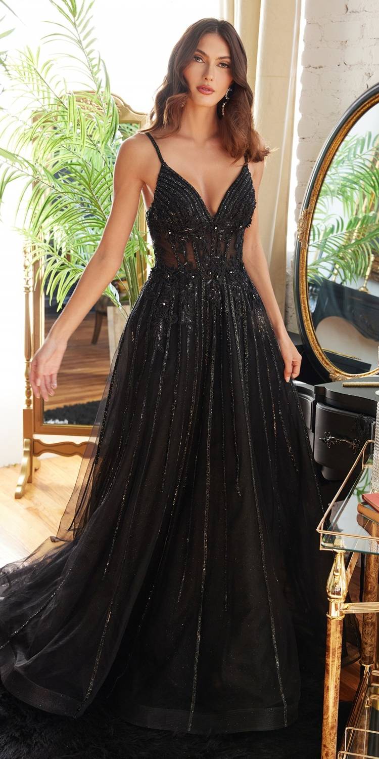 Cinderella Divine CD994 Long A-Line Beaded Tulle Gown Lace Detail V-Neck by DiscountDressShop