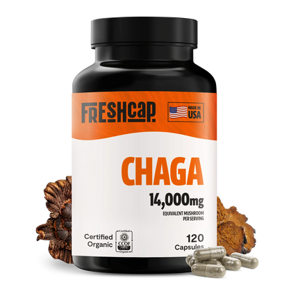 Chaga Mushroom Extract Capsules