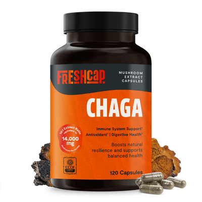 Chaga Mushroom Extract Capsules
