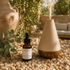 Citronella & Eucalyptus Aroma Oil by Mobaak Aromatherapy Shoppe