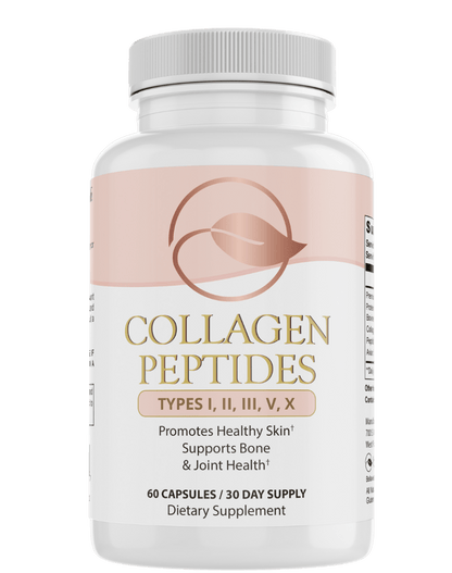 Collagen Peptides Types I, II, III, V, X by Bellawell