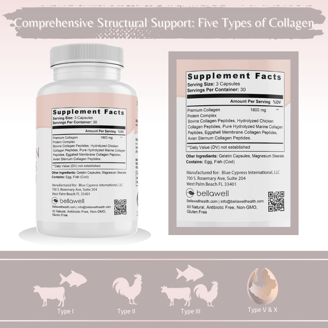 Collagen Peptides Types I, II, III, V, X by Bellawell