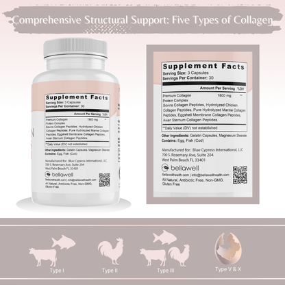 Collagen Peptides Types I, II, III, V, X by Bellawell