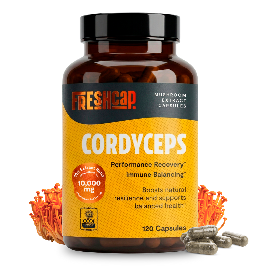 Cordyceps Mushroom Extract Capsules by FreshCap Mushrooms