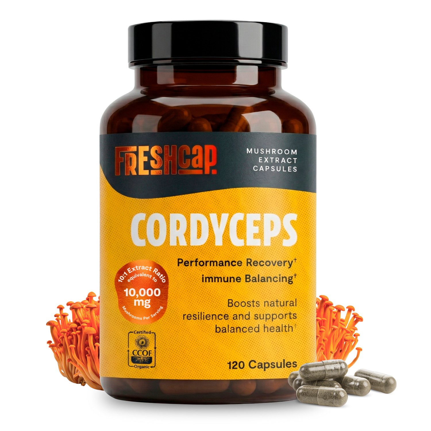 Cordyceps Mushroom Extract Capsules by FreshCap Mushrooms