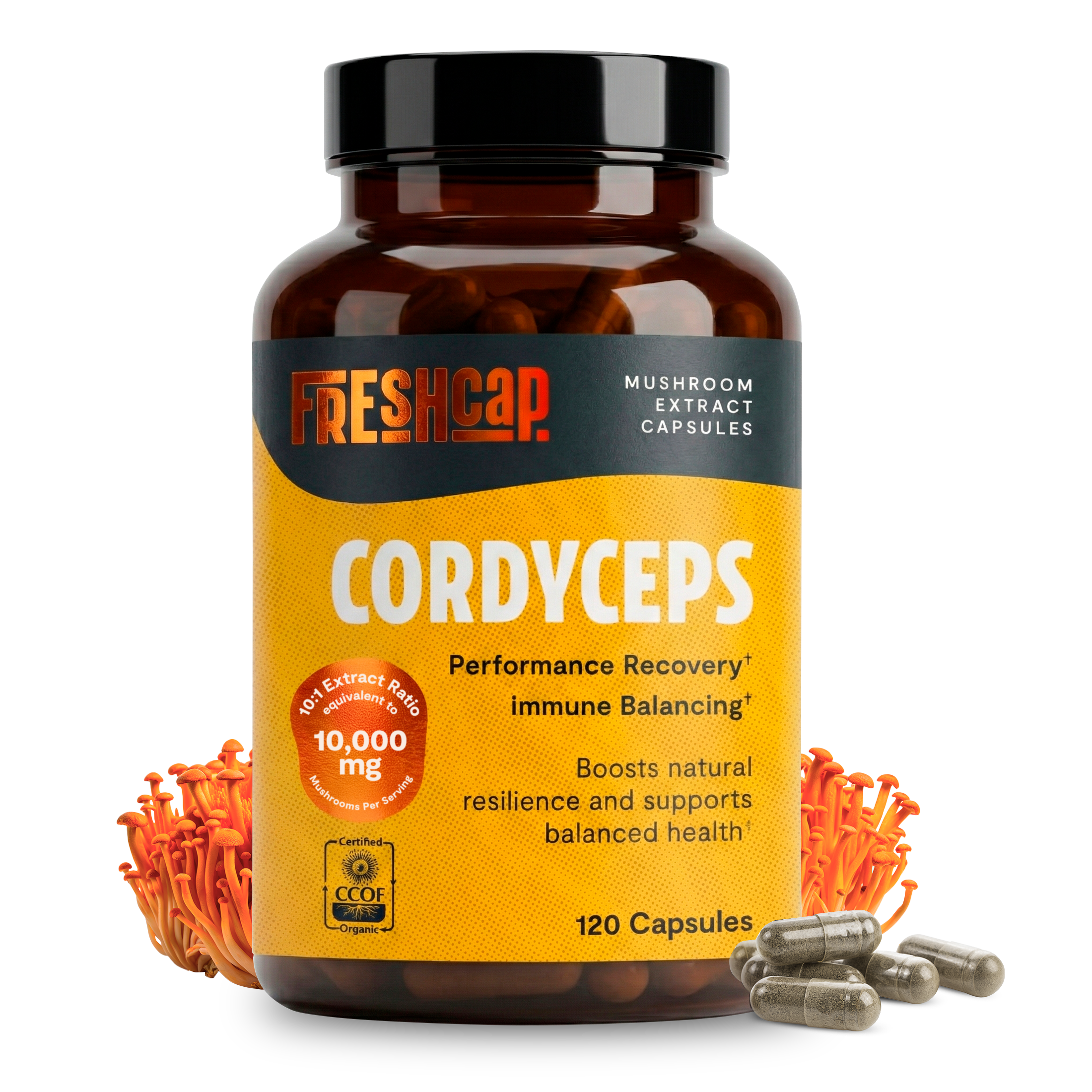 Cordyceps Mushroom Extract Capsules by FreshCap Mushrooms