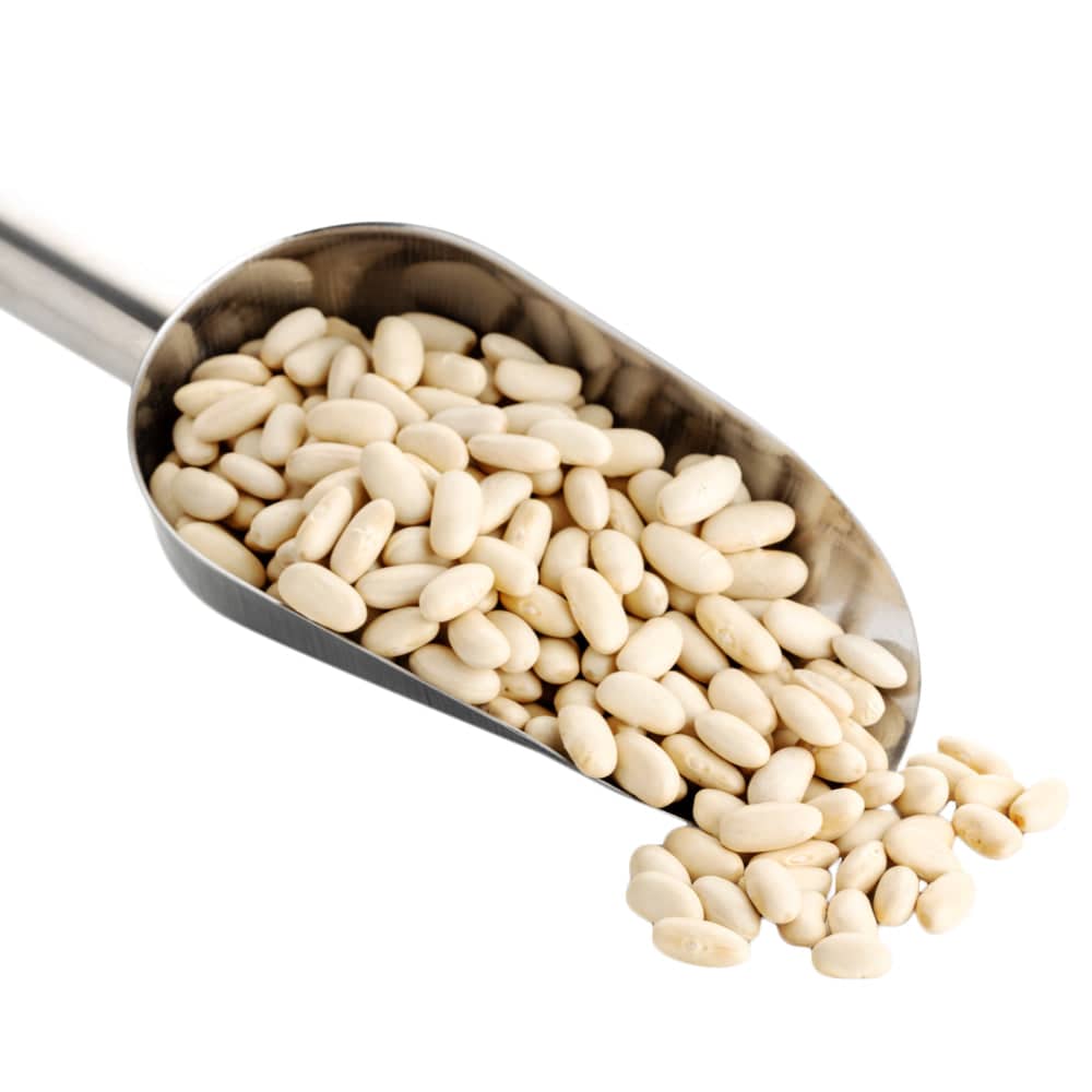Navy Beans  DestGlow