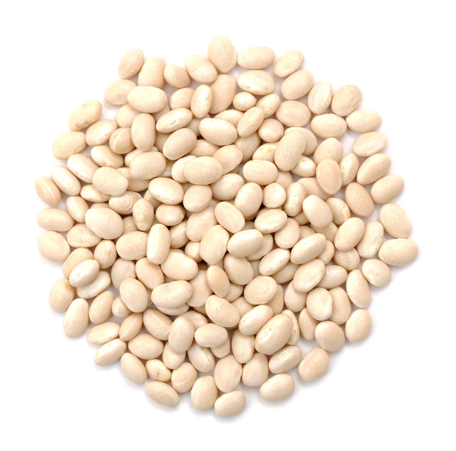 Navy Beans, Organic by Country Life Natural Foods