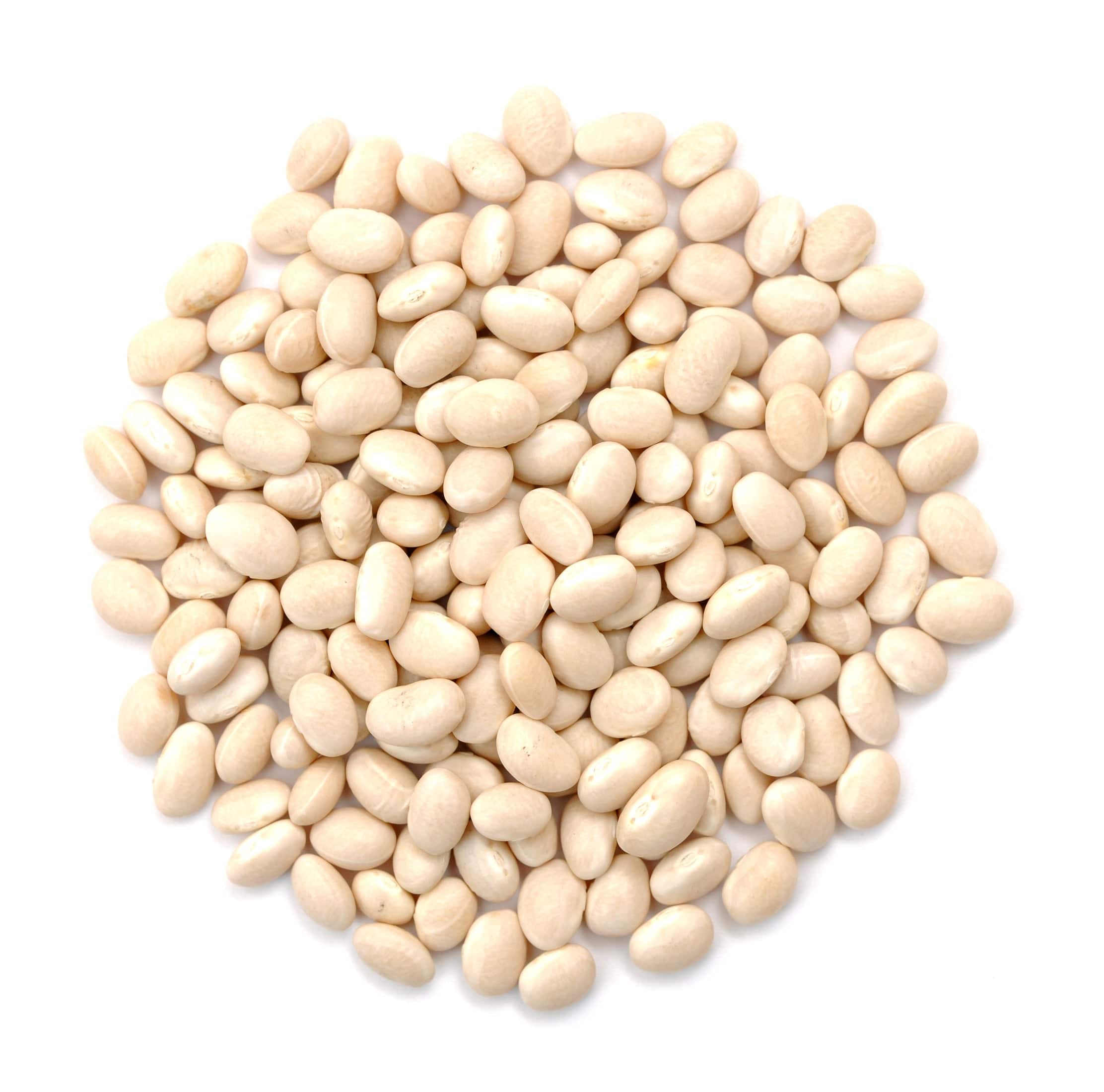 Navy Beans, Organic by Country Life Natural Foods