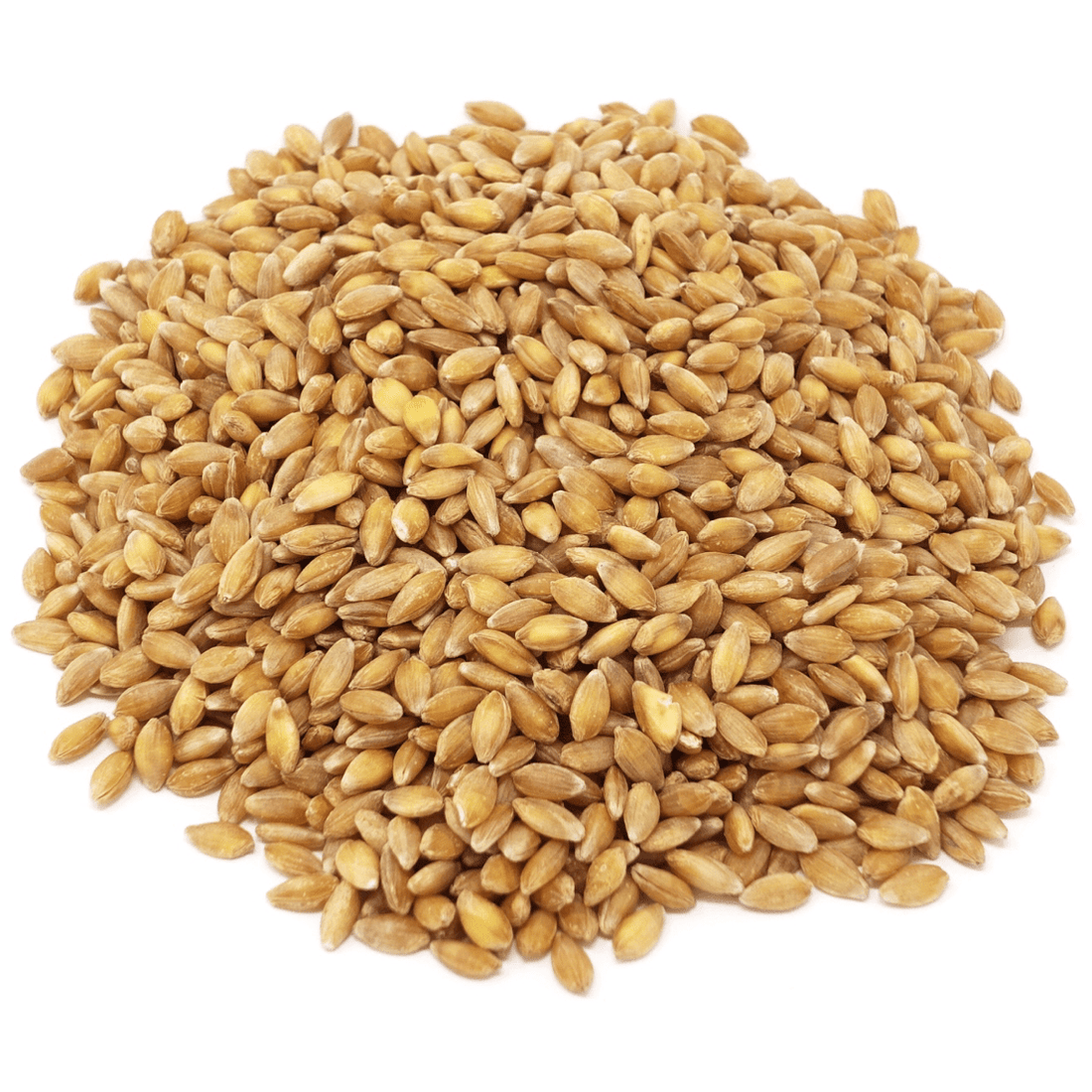 Einkorn Berries, Organic by Country Life Natural Foods
