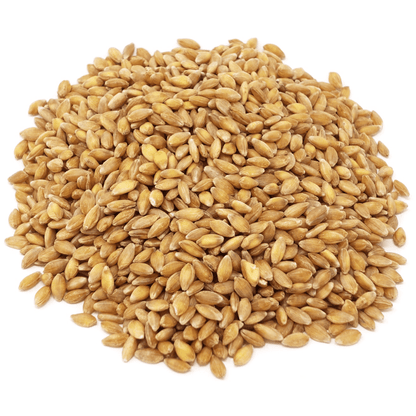 Einkorn Berries, Organic by Country Life Natural Foods