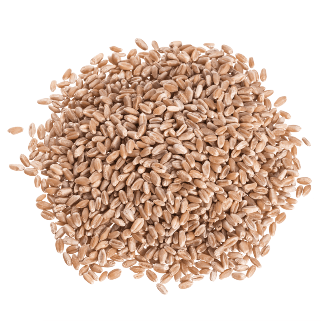 Wheat Berries, Hard Red, Organic by Country Life Natural Foods