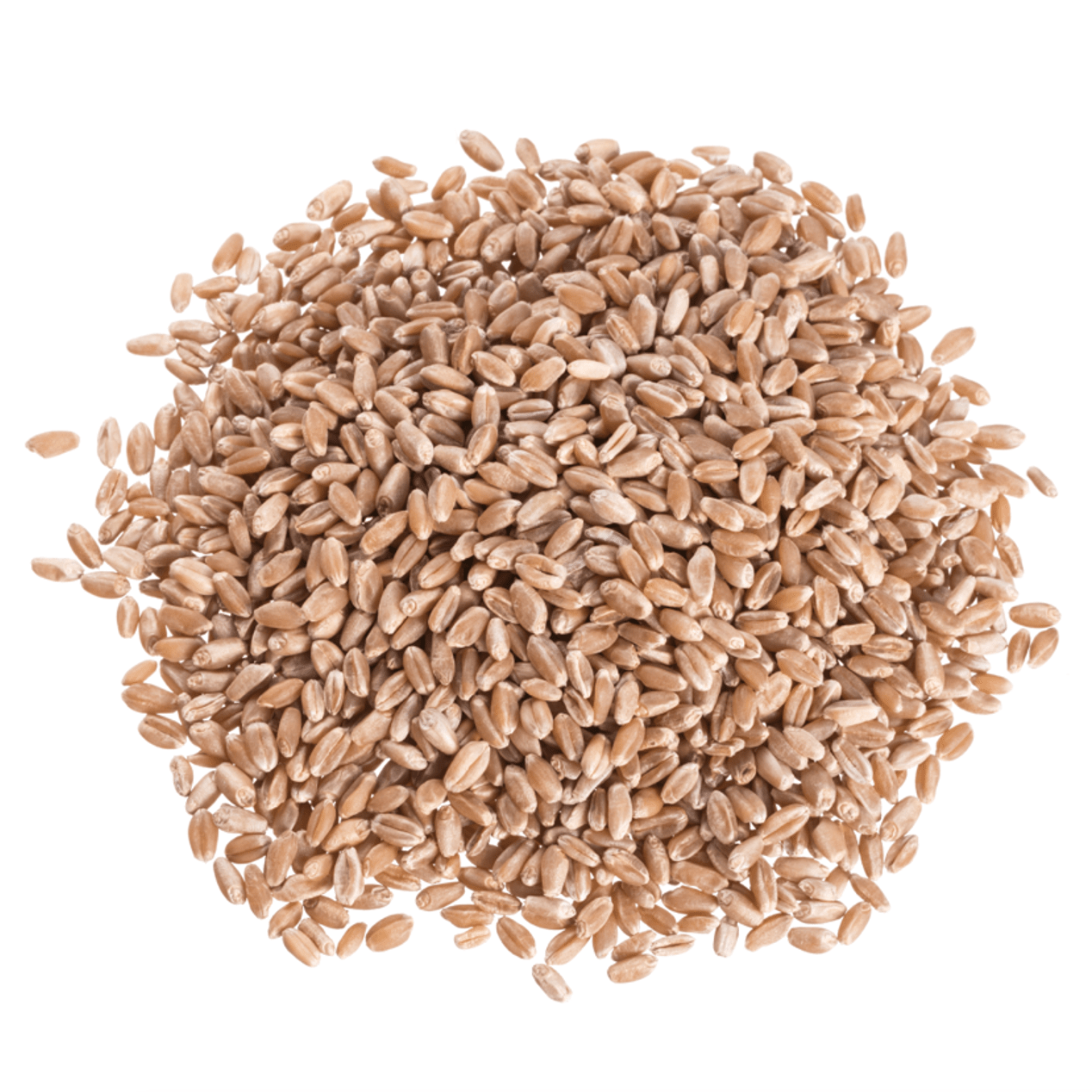 Wheat Berries, Hard Red, Organic by Country Life Natural Foods
