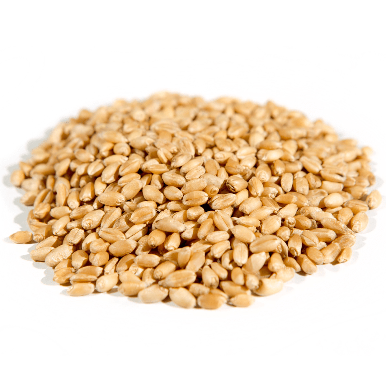 Wheat Berries, Hard White, Organic by Country Life Natural Foods