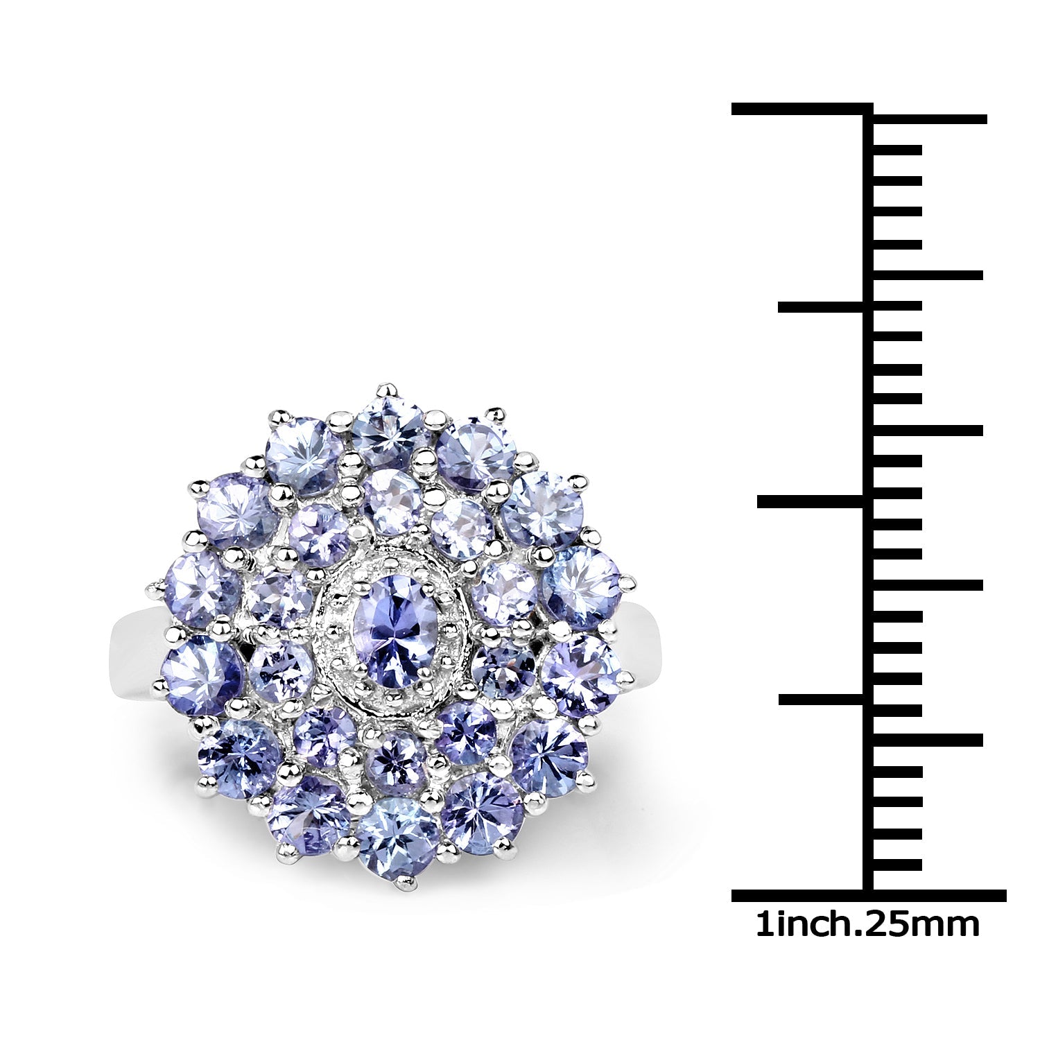 2.27 Carat Genuine Tanzanite .925 Sterling Silver Ring by Bids.com