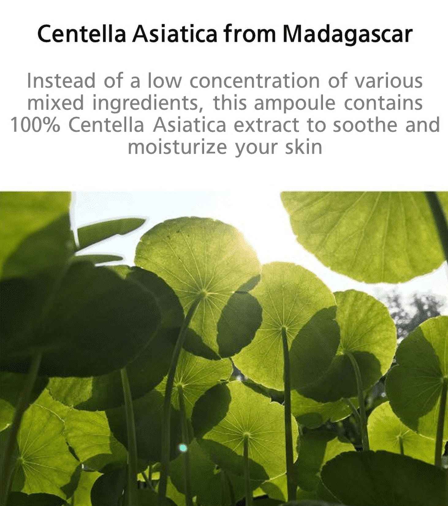 Madagascar Centella Ampoule 100Ml