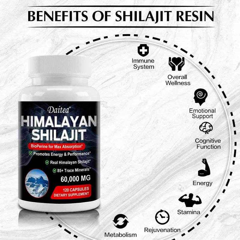 Himalayan Shilajit Trace Minerals Absorption Supplement 120 capsules