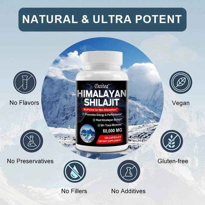 Himalayan Shilajit Trace Minerals Absorption Supplement 120 capsules