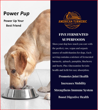 Power Pup Fermented Superfood Turmeric Powder for Pets by America&