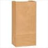 Brown Paper 10 Lb Bag 2X500 Ct by Pasteur Pharmacy