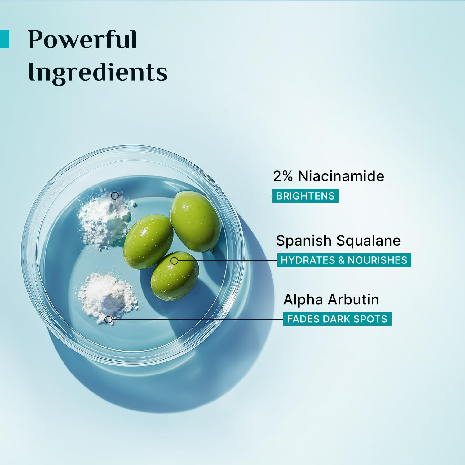 Pilgrim 2% Niacinamide Glow Sunscreen SPF 50 +++ Enhances Glow, Broad spectrum, Non-greasy, No white cast &amp; Prevents Tanning