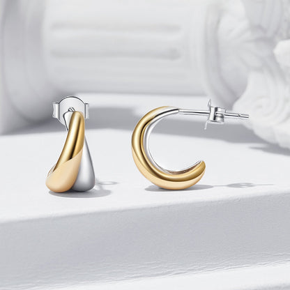 925 Sterling Silver Earrings for Women  DestGlow