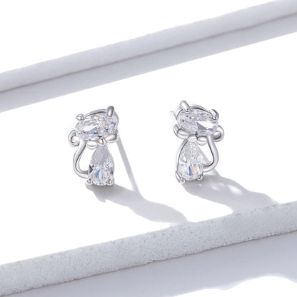 925 Sterling Silver Plated Platinum Earrings with Pavé Setting CZ for Women  DestGlow