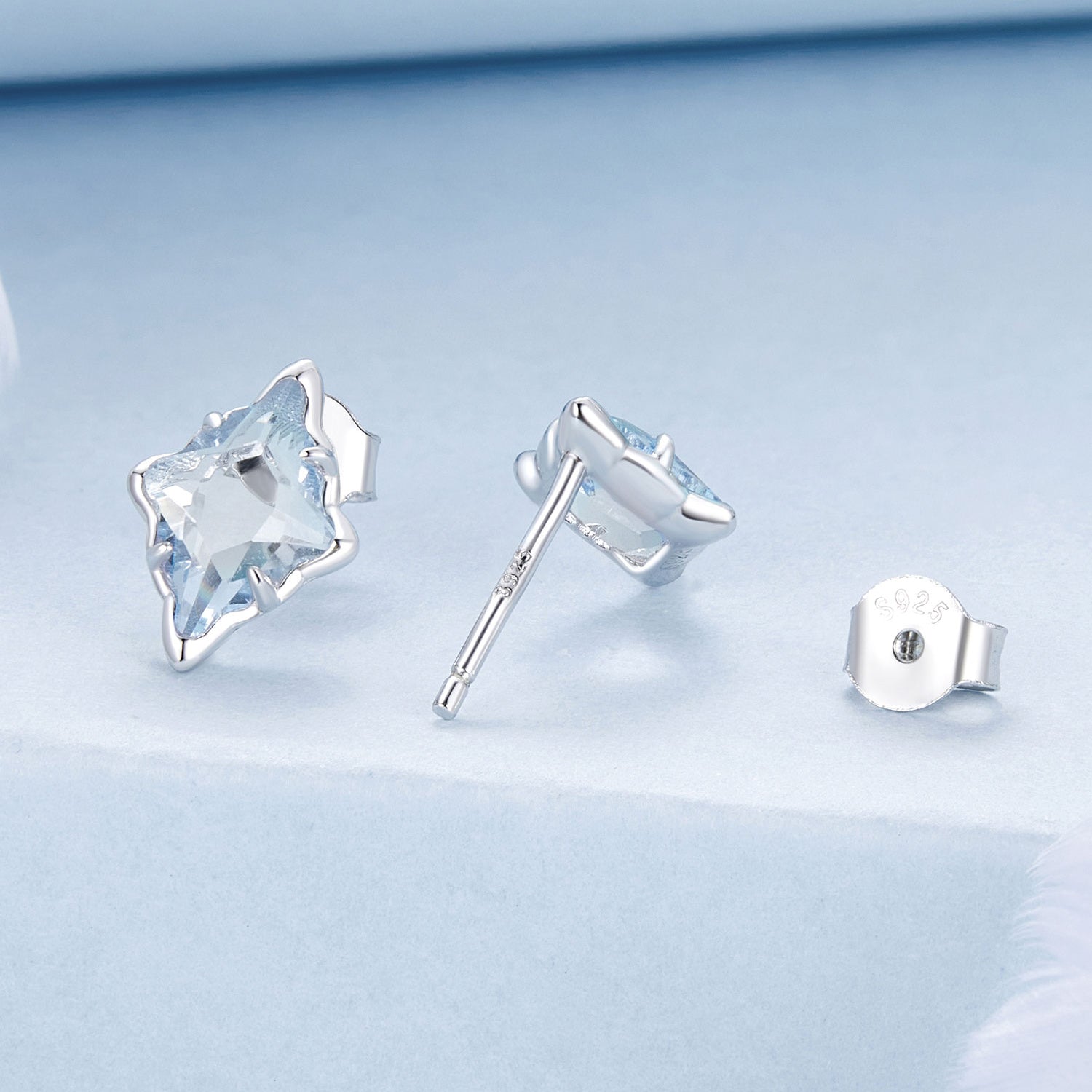 925 Sterling Silver Earrings with Transparent Glass and White Gold Plating  DestGlow