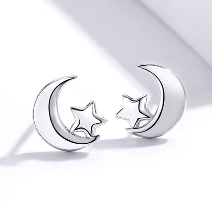 S925 Sterling Silver Earrings for Women  DestGlow