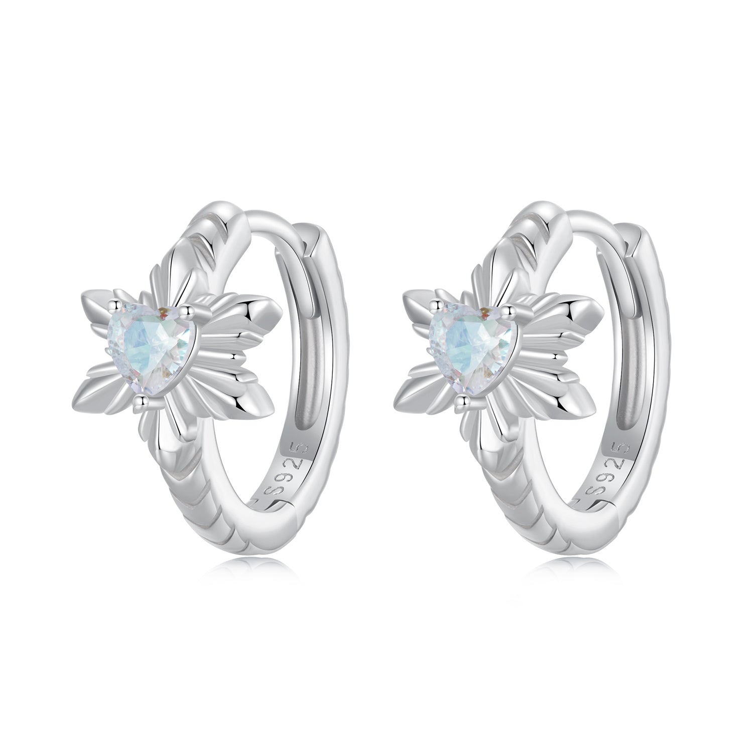 925 Sterling Silver Earrings with Transparent Glass and White Gold Plating  DestGlow