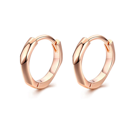S925 Sterling Silver Plated Rose Gold Earrings  DestGlow