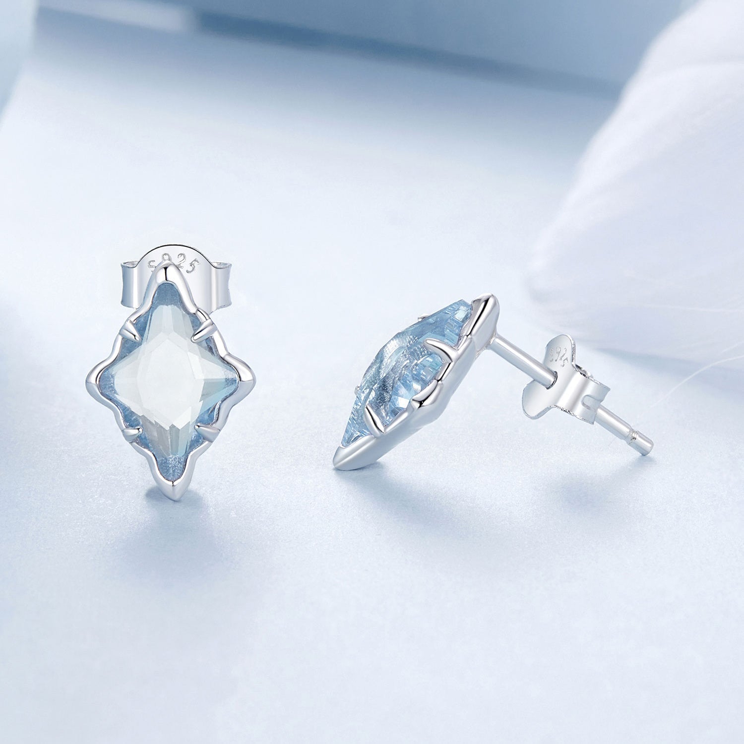 925 Sterling Silver Earrings with Transparent Glass and White Gold Plating  DestGlow