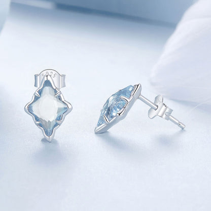 925 Sterling Silver Earrings with Transparent Glass and White Gold Plating  DestGlow