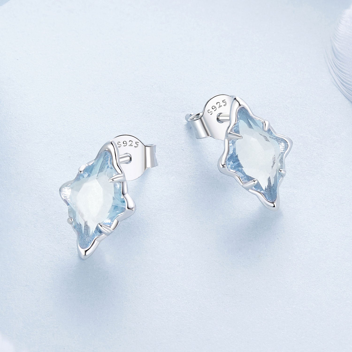 925 Sterling Silver Earrings with Transparent Glass and White Gold Plating  DestGlow