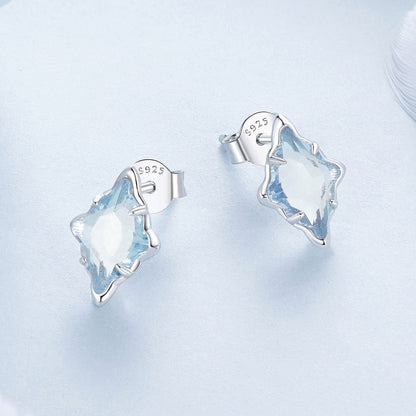 925 Sterling Silver Earrings with Transparent Glass and White Gold Plating  DestGlow