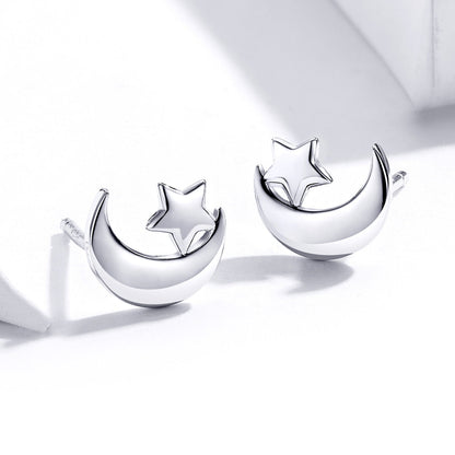 S925 Sterling Silver Earrings for Women  DestGlow