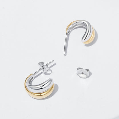 925 Sterling Silver Earrings for Women  DestGlow