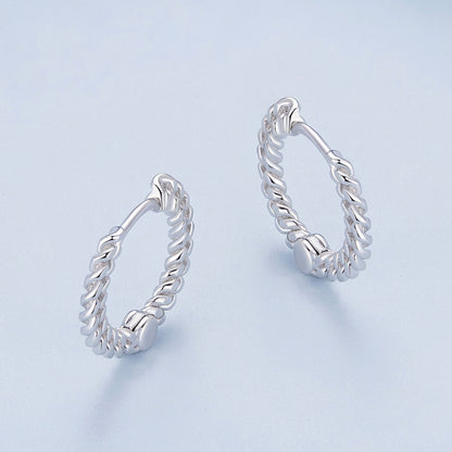 925 Sterling Silver Earrings Size 14*1.5mm Plated Platinum for Women  DestGlow