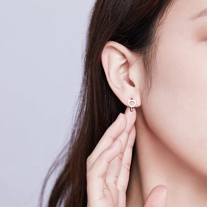925 Sterling Silver CZ Earrings for Women  DestGlow