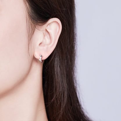 S925 Sterling SilverCZ Earrings for Women  DestGlow