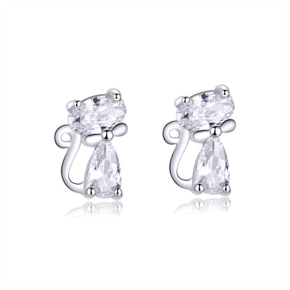 925 Sterling Silver Plated Platinum Earrings with Pavé Setting CZ for Women  DestGlow
