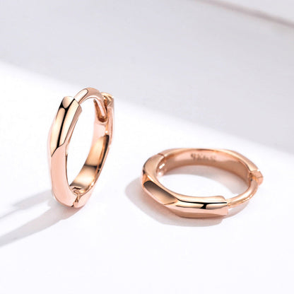 S925 Sterling Silver Plated Rose Gold Earrings  DestGlow