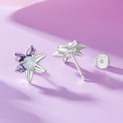 925 Sterling Silver Earrings with Enamel and Transparent Glass for Women  DestGlow