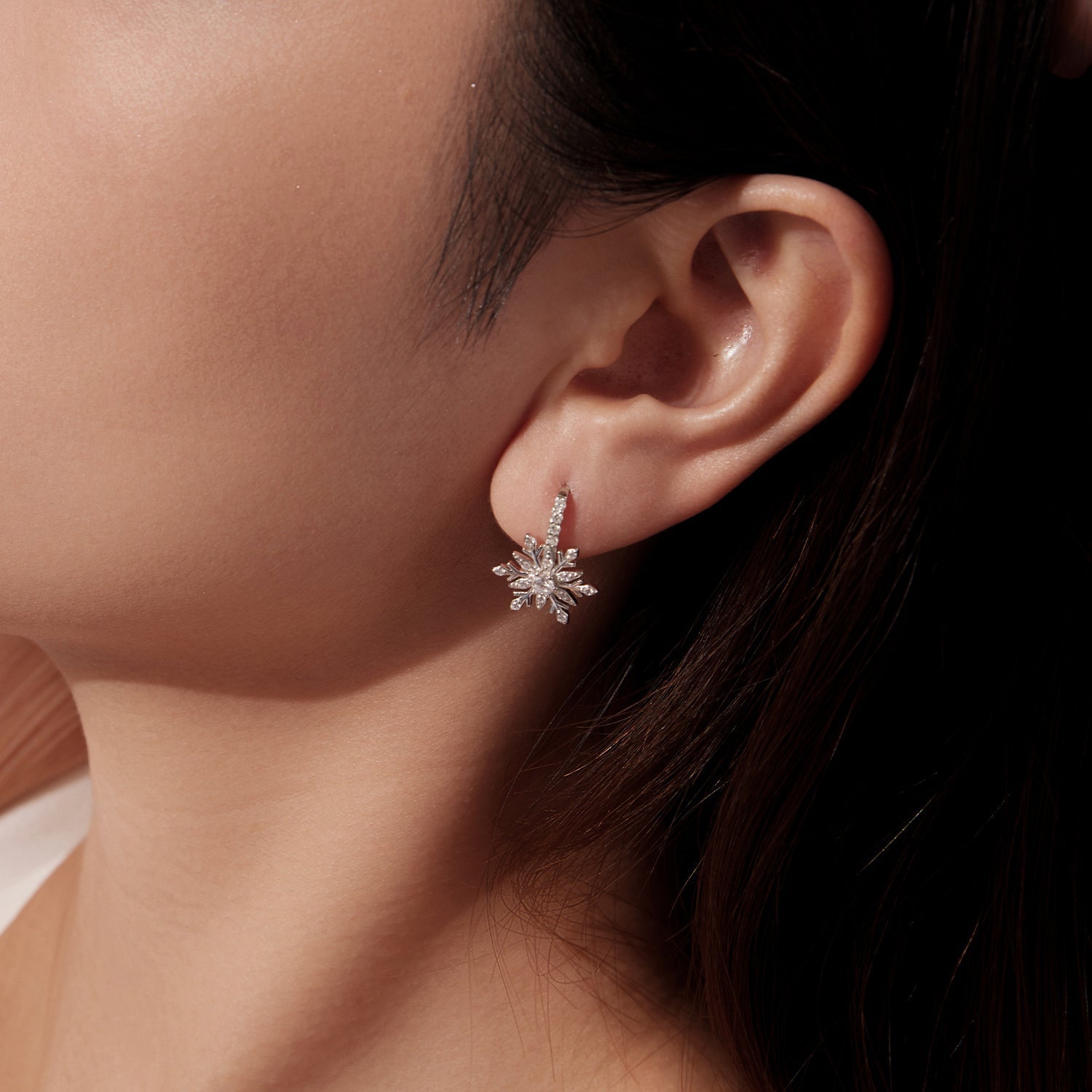 925 Sterling Silver Earrings with Pavé Setting CZ in White Gold for Women  DestGlow
