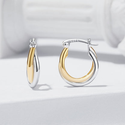 925 Sterling Silver Earrings with Platinum and Gold Plating for Women  DestGlow